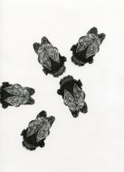 Bumblebees' Meeting, 2013 (wood engraving on paper) | Obraz na stenu