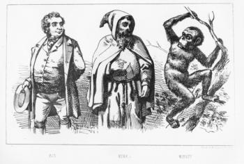 Man Monk Monkey (litho) | Obraz na stenu