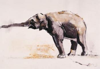 Indian Elephant, Khana (mixed media on paper) | Obraz na stenu