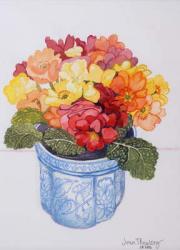 The Multicoloured Primrose 2011 (watercolour on paper) | Obraz na stenu