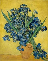 Irises, 1890 (oil on canvas) | Obraz na stenu