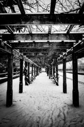 Central Park Winter | Obraz na stenu