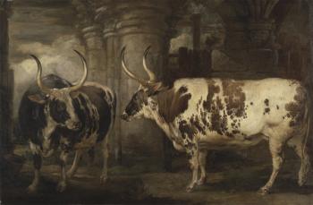 Portraits of two extraordinary oxen, the property of the Earl of Powis, 1814 (oil on panel) | Obraz na stenu