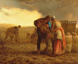 The Potato Harvest, 1855 (oil on canvas) | Obraz na stenu