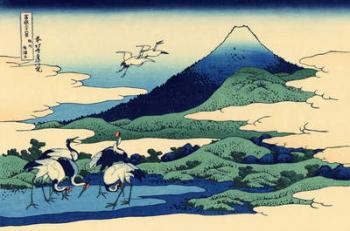 Umegawa in Sagami province, c.1830 (woodblock print) | Obraz na stenu