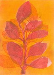 Summer Garden II, 2015, (monoprint on paper) | Obraz na stenu