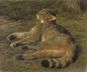 Wild Cat, 1850 (oil on canvas) | Obraz na stenu