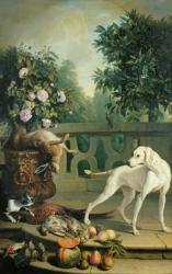 Animals, flowers and fruits (oil on canvas) | Obraz na stenu