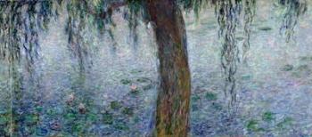 Waterlilies: Morning with Weeping Willows, detail of the right section, 1915-26 (oil on canvas) (see also 162347-8) | Obraz na stenu