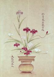 Orchids (pen & ink on paper) | Obraz na stenu