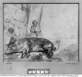 The Sow, 1643 (etching) (b/w photo) | Obraz na stenu