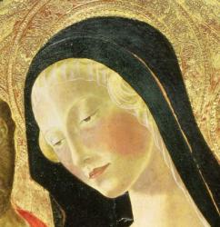 Madonna and Child (tempera on panel) (detail of 9306) | Obraz na stenu