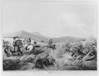 Hog Hunters Meeting, by Surprise, a Tigress and her Cubs, engraved by H.Merke (fl.1800-20) after an original design by Captain Thomas Williamson, pub. by Edward Orme (1774-c.1820) (engraving) (b&w photo) | Obraz na stenu