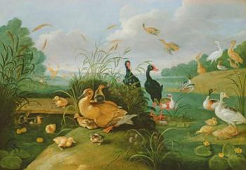Decorative fowl and ducklings | Obraz na stenu