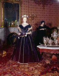 Ball gown of Mary Todd Lincoln (1818-82) (photo) | Obraz na stenu