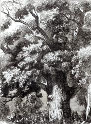 Charles II (1630-85) Hidden in the Oak Tree, 14th October 1651 (engraving) (b&w photo) | Obraz na stenu