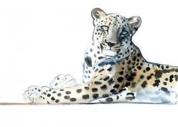 Tilt (Arabian Leopard), 2015, (watercolour and gouache on paper) | Obraz na stenu