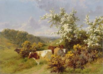 May Blossom (oil on canvas) | Obraz na stenu