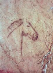 Head of a Horse, from the Cueva de la Pena de Candamo San Roman (cave painting) | Obraz na stenu