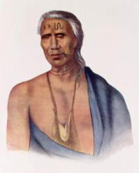 Lap-Pa-Win-Soe, a Delaware Chief, illustration from 'The Indian Tribes of North America, Vol.1', by Thomas L. McKenney and James Hall, pub. by John Grant (colour litho) | Obraz na stenu