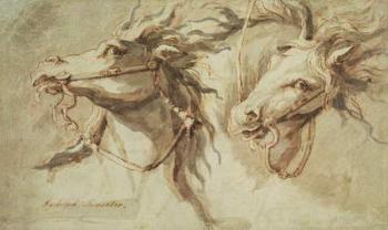 Two Horses' Heads (pen, ink & wash with red chalk on buff paper) | Obraz na stenu