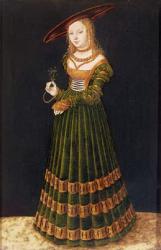 Young girl holding flowers, 1526 (oil on panel) | Obraz na stenu