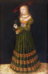 Young girl holding flowers, 1526 (oil on panel) | Obraz na stenu