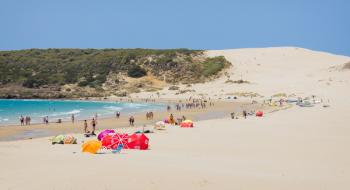 Punta Paloma beach and protected sand dunes of Punta Paloma in background, Tarifa, Costa de la Luz, Cadiz Province, Andalusia, Southern Spain (photo) | Obraz na stenu