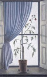 Plant in Window, 2003 (oil on canvas) | Obraz na stenu