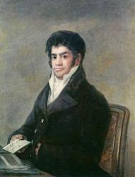 Portrait of Don Francisco del Mazo, c.1815 (oil on canvas) | Obraz na stenu
