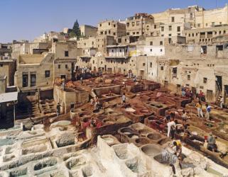 View of the tanneries (photo) | Obraz na stenu