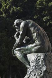 The Thinker (bronze) | Obraz na stenu