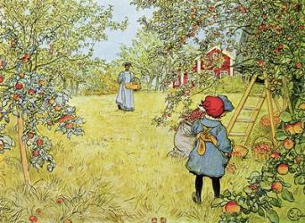 The Apple Harvest | Obraz na stenu