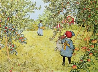 The Apple Harvest | Obraz na stenu