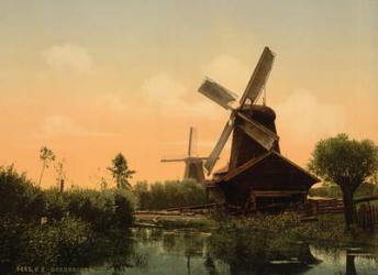 Windmills on the Noordendijk, Dordrecht, Holland, c.1890-1900 | Obraz na stenu