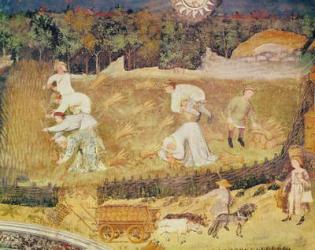 The Month of August, detail of the harvest, c.1400 (fresco) | Obraz na stenu