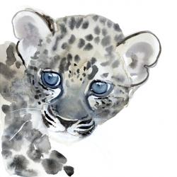 Cub, 2015, (watercolour on paper) | Obraz na stenu