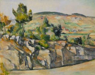 Hillside in Provence, c.1886-90 (oil on canvas) | Obraz na stenu