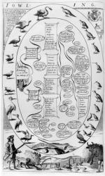 A guide to fowling, from 'The Gentleman's Recreation' published by Richard Blome, 1686 (engraving) | Obraz na stenu