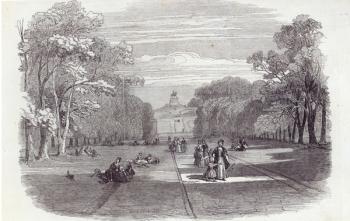 The Long Walk, Windsor, from The Illustrated London News, 14th November 1846 (engraving) | Obraz na stenu