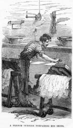 A French Currier Preparing Kid Skins (engraving) | Obraz na stenu