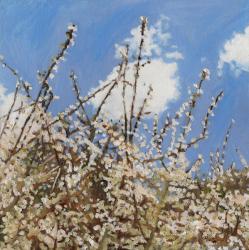Mayflower, 2012, (oil on canvas) | Obraz na stenu