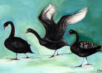 A ballet of Black Swans, 2013, (charcoal and gouache on card) | Obraz na stenu