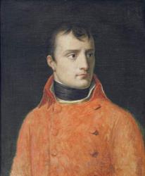 Napol̩on Bonaparte, First Consul (oil on canvas) | Obraz na stenu