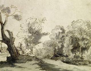 Landscape with a path, an almost dead tree on the left and a footbridge leading to a farm on the right (pen, ink and wash on paper) | Obraz na stenu