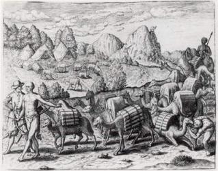 Pack Train of Llamas Laden with Silver from Potosi Mines of Peru, engraved by Theodore de Bry (1528-98), from 'Americae', 1602 (engraving) (b&w photo) | Obraz na stenu