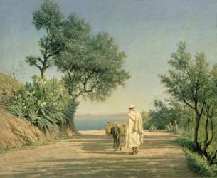 The Road to the Sea, Algeria, 1883 (oil on canvas) | Obraz na stenu