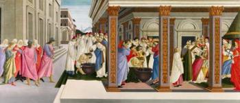 Four scenes from the early life of Saint Zenobius, c.1500 (tempera on wood) | Obraz na stenu