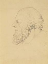 Socrates, c.1820 (graphite) | Obraz na stenu