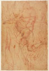 Figure Study (red chalk on paper) | Obraz na stenu
